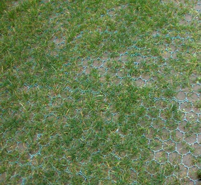 HDPE Grass Grids Pavers Plastic Paving Grid 38mm 48mm 68mm