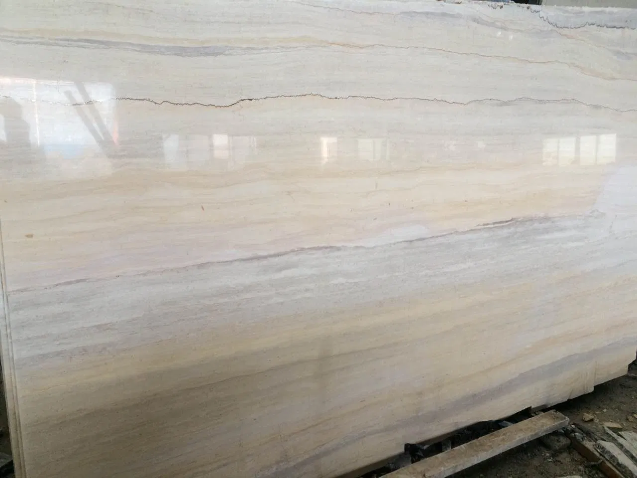 Popular Natural Ginkgo Wood Marble Slab and Tile for Hotel Wall Floor Decorate