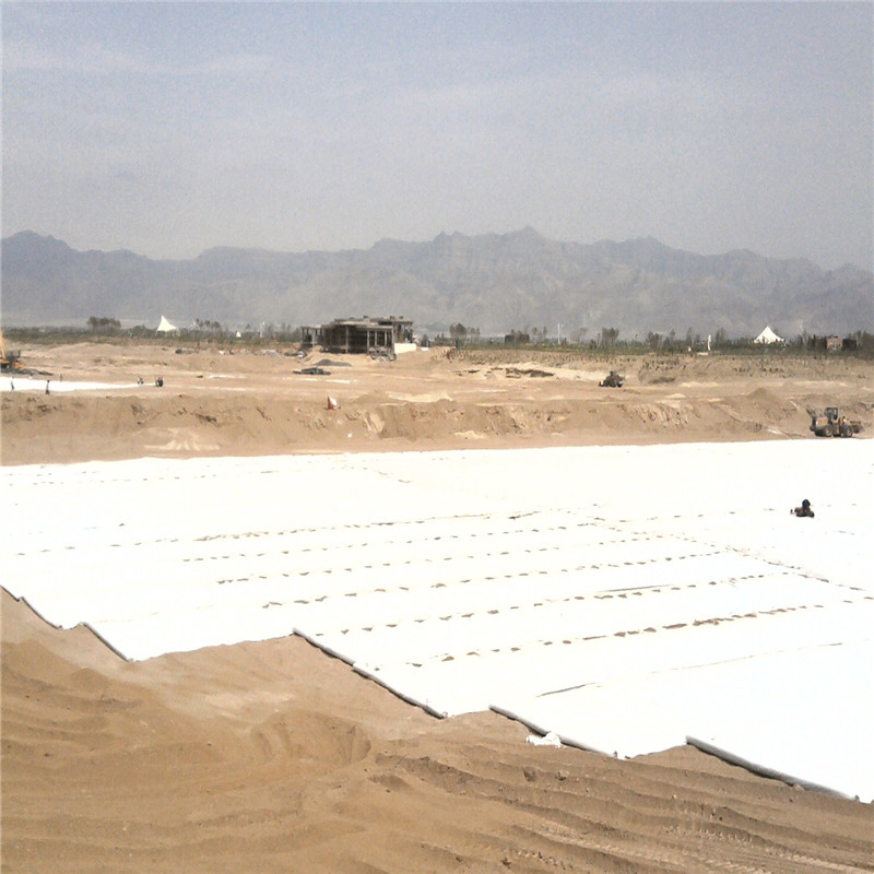 High Quality PP/Polyester Staple Fiber Geotextile