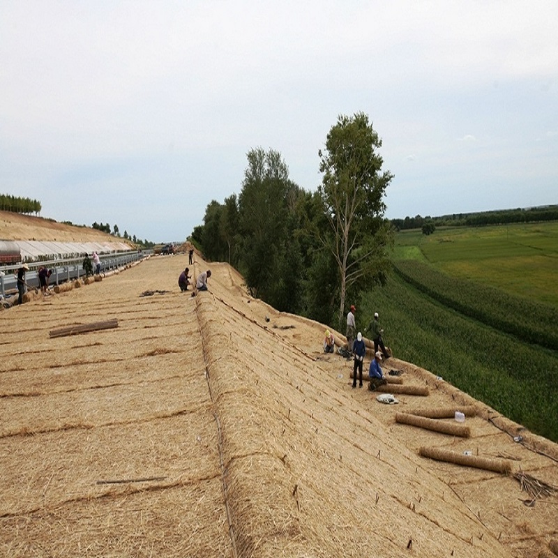 Factory Price Coco Coir Geotextile Mats Erosion Control Blanket Coconut Fiber Mat