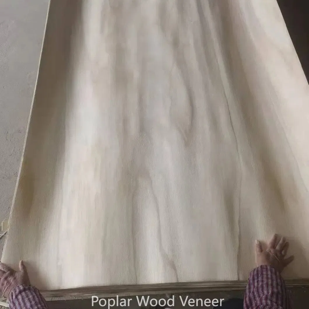 Pure White /1.2mm/ Poplar Wood/Poplar Core Veneer