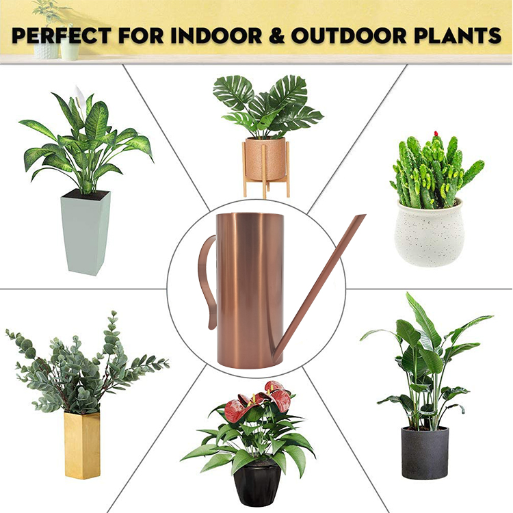 Hot Sales Hight Quality Low Price Indoor Outdoor Metal Garden SUS 304 Stainless Steel Watering Can for Plants Wholesale