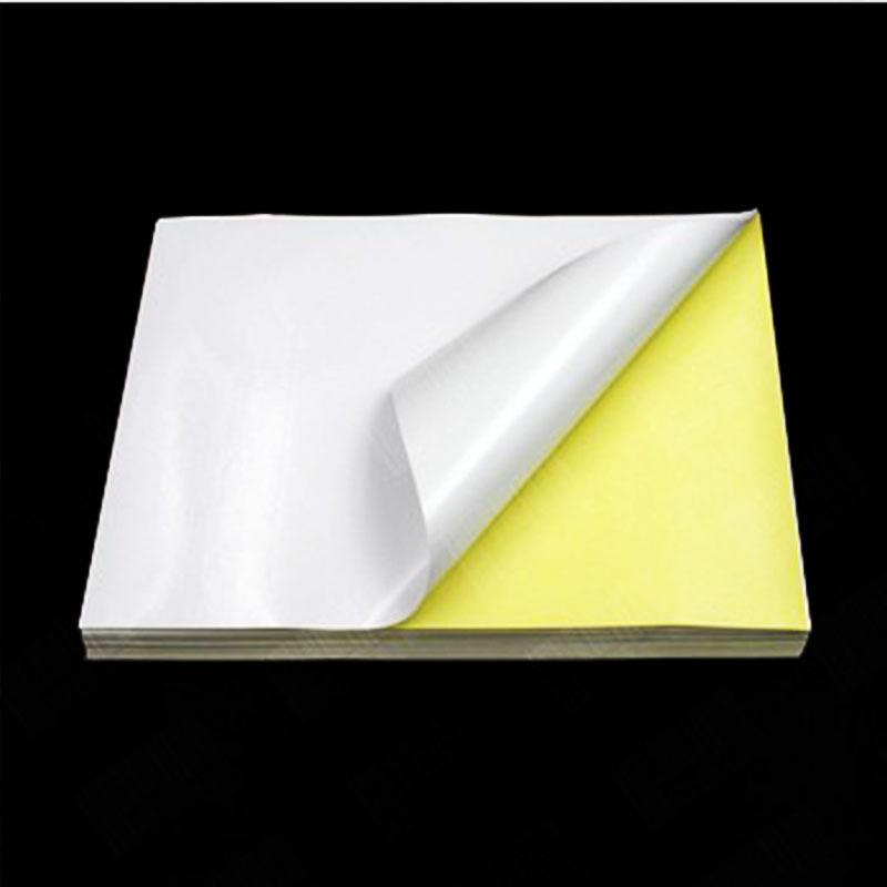 Cast Coated Sticker Paper with Gsf Brand or OEM