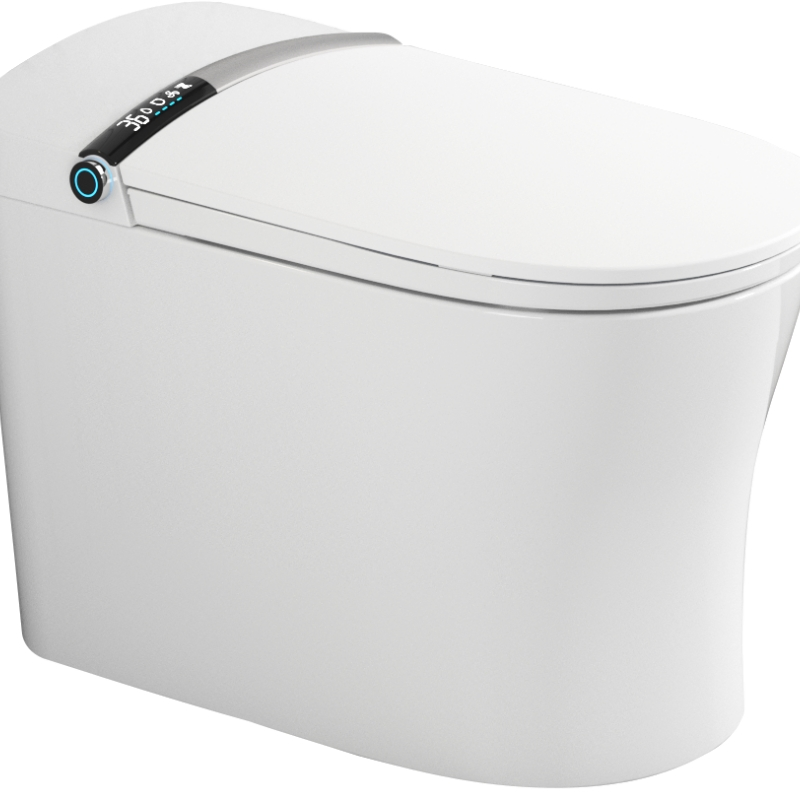 Minimalist Series Hot Selling Fashionable Ceramic Toilet Toilet