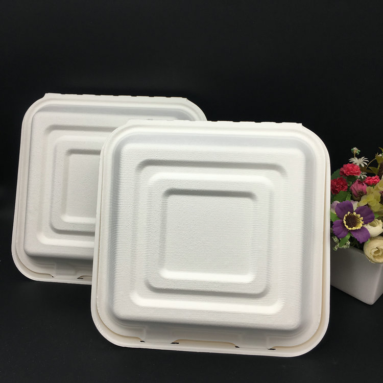 10 Inch Bagasse Lunch Box with 3 Compartments