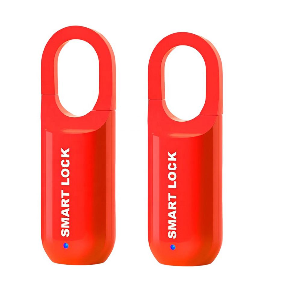 Mini Pocket Size Smart Keyless Bag Luggage Security Fingerprint Padlock