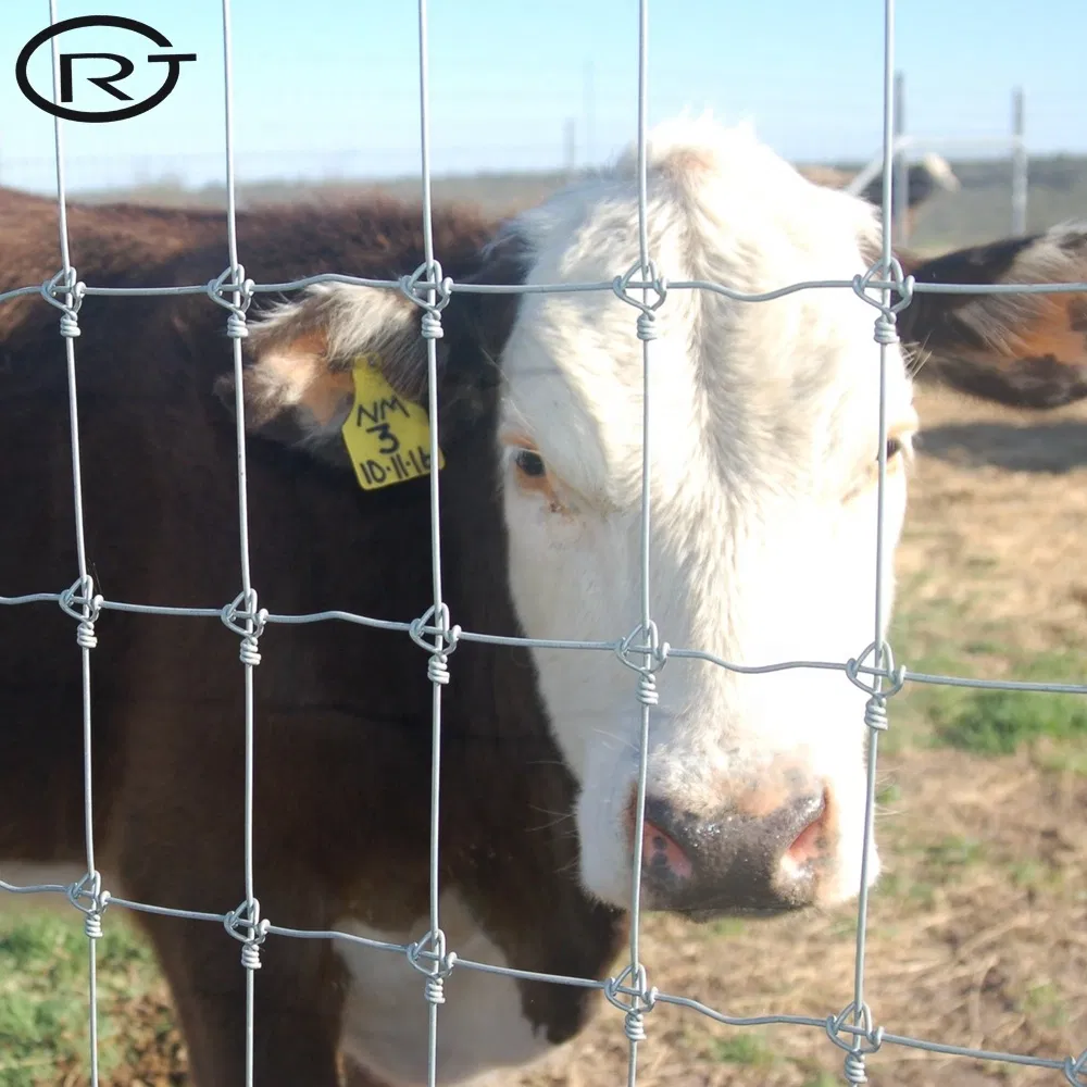 Anping Lowest Price Cattle Wire Mesh Fence Farm Fence for Sale