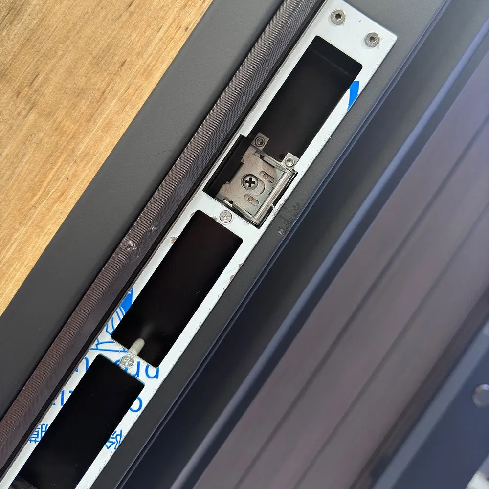 Turnkey Supplier Steel Security Door Entrance Door for School Project Class a Anti-Vandal