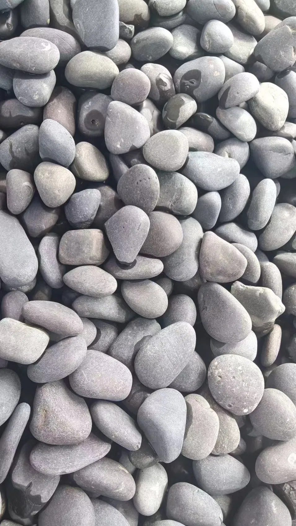 River Pebble Stone Without Polished for Garden Landscape Decoration Outdoor Project