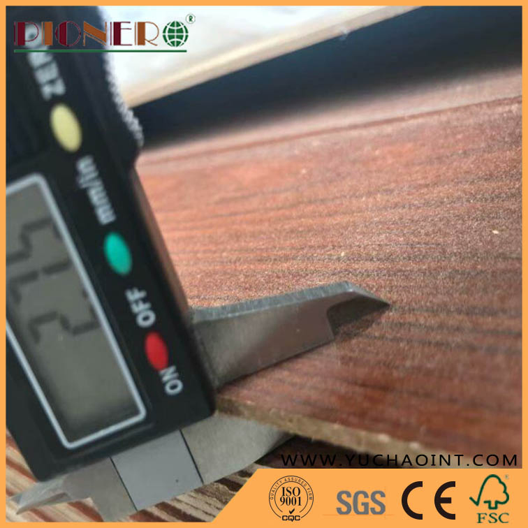 HDF/MDF Veneer/Melmamine Mould Door Skin with Various Size