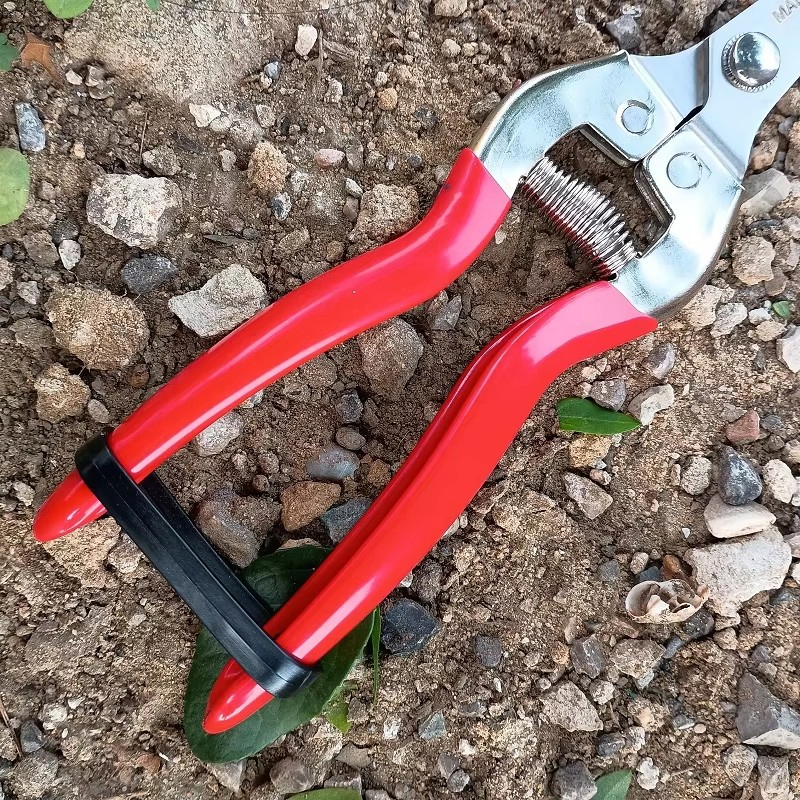 Секатор садовый обходной SK5 с мягкой рукояткой