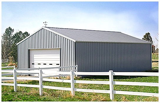 Steel Garden Shed/Poultry Shed/Prefab Steel Shed (DG6-020)