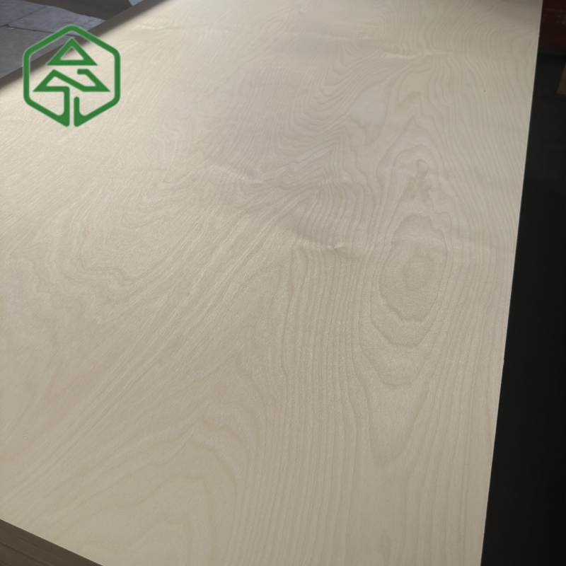 Premium White Birch Plywood for Export to Mexico and USA