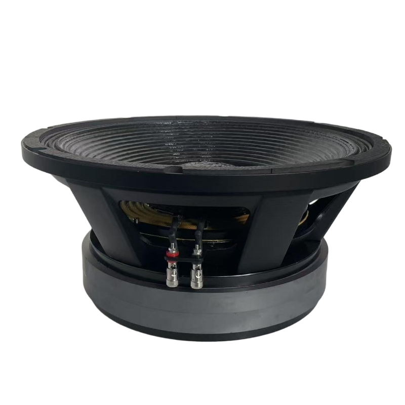 Профессиональный 18-дюймовый сабвуфер для DJ и PA систем
