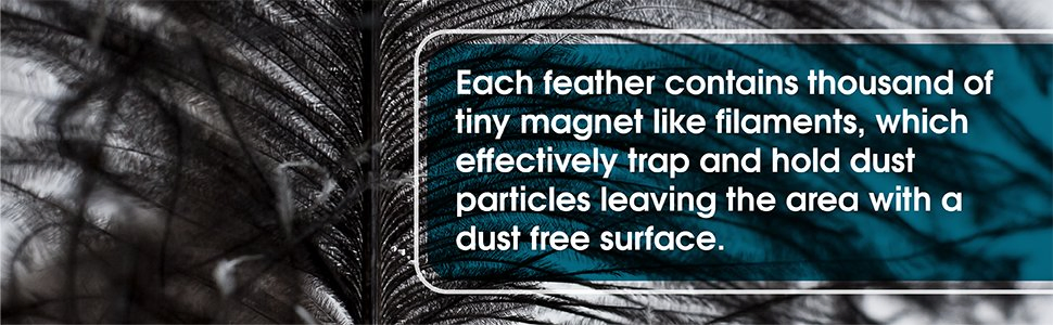 Mini Duster 14" L Delicate Surface Ostrich Feather Furniture Fuzzy Cleaning Dusters