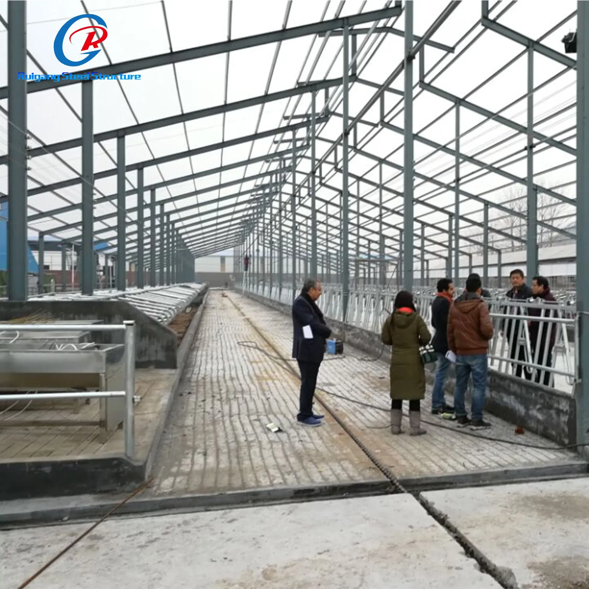 Prefabricated Building Steel House Layer Cages Egg Chicken Poultry House Poultry Farm Equipment Chicken Farming Poultry Building