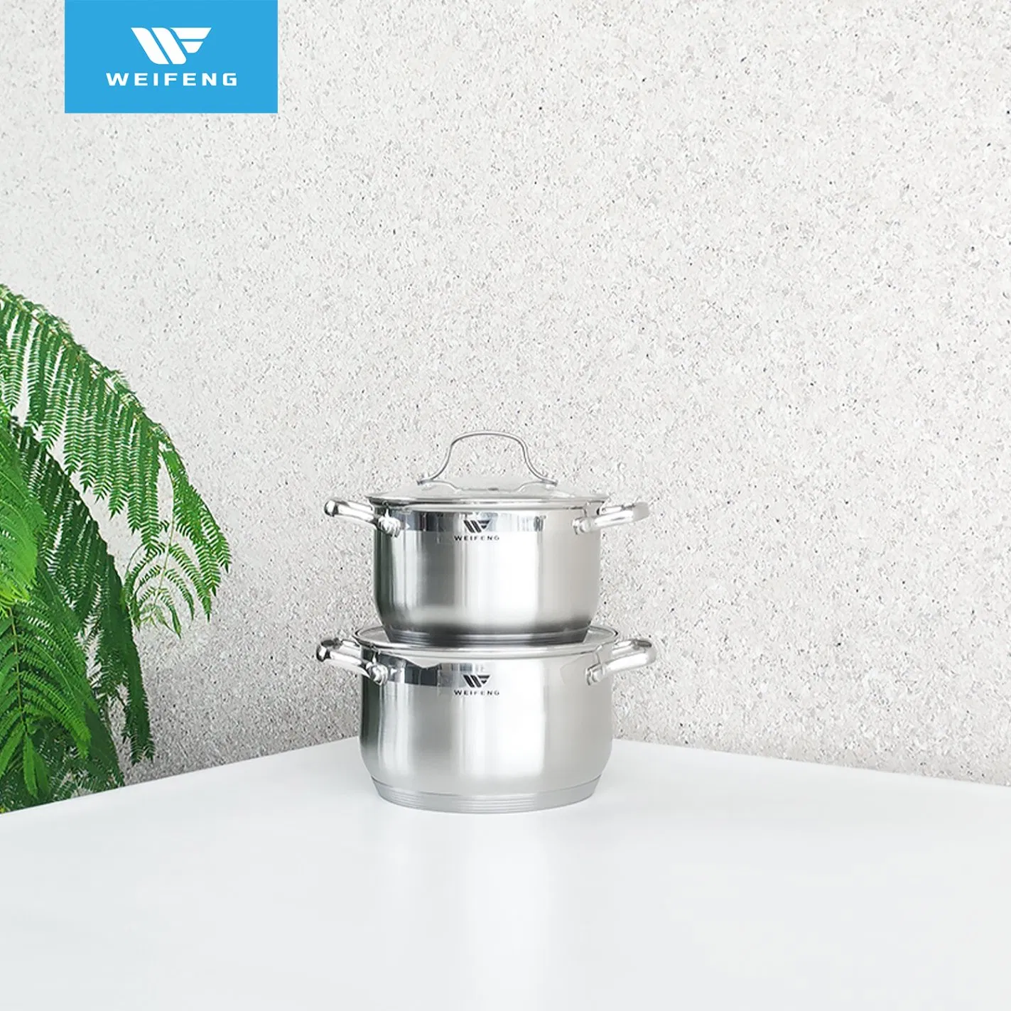 9 PCS Stainless Steel Cookware Set with Wire Ss Handle, Whistling Kettle