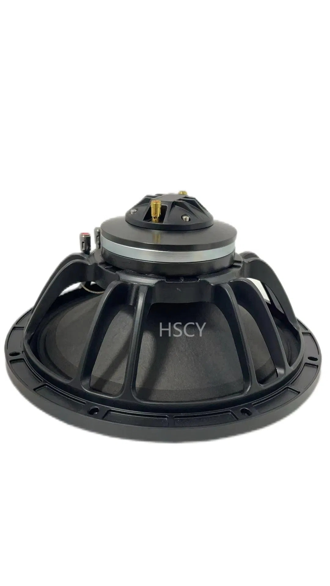 12-Inch Plug-and-Play Coaxial Car Speaker for Easy Installation