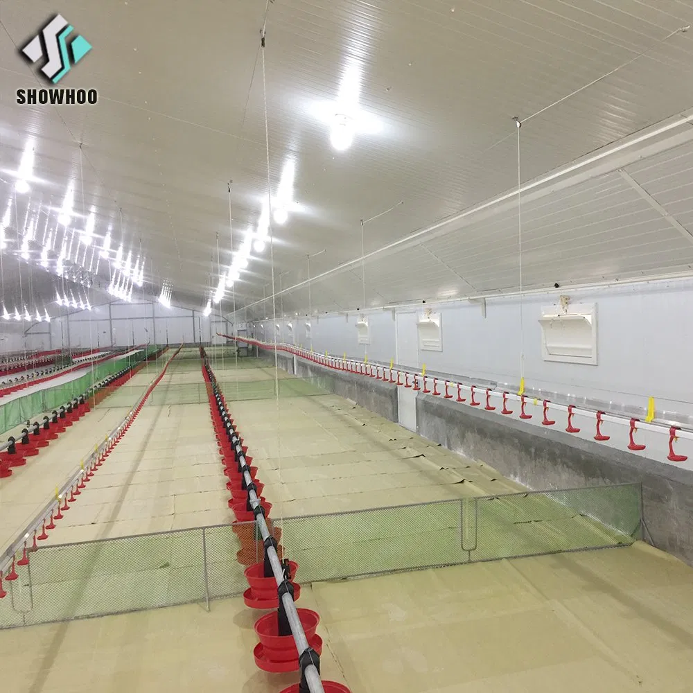 Durable and Cheap Poultry Chicken Farm Equipment with Factory Design