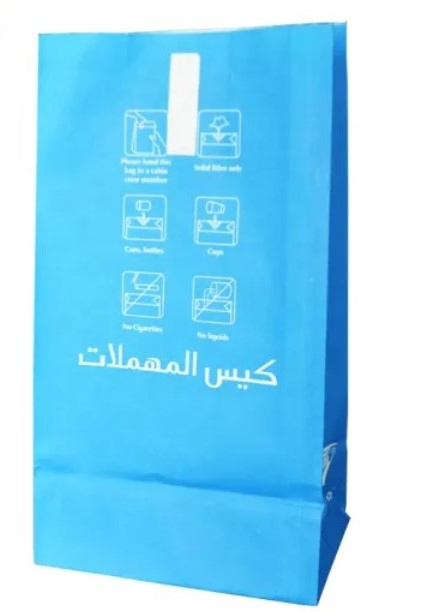 China Paper Bag Factory Customized Flexo Print Air Sickness Bag
