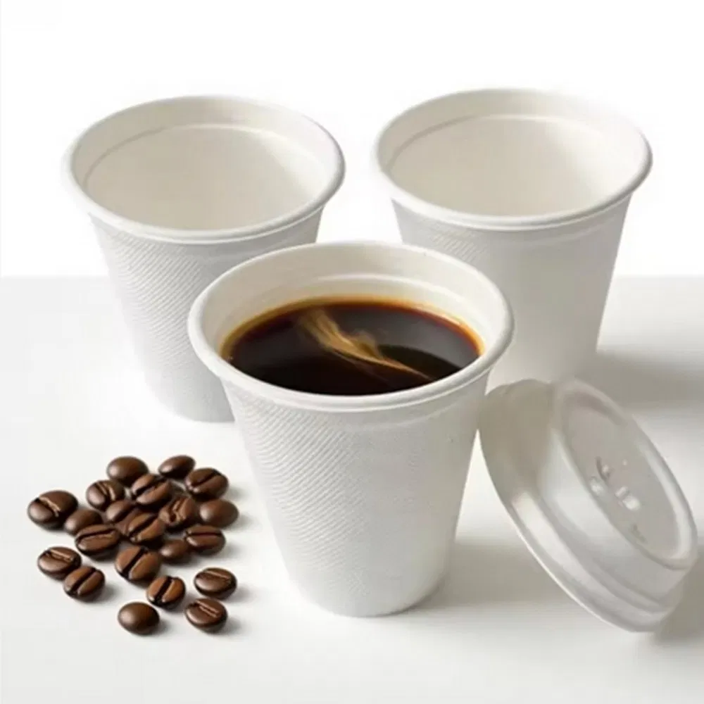 Biodegradable Sugar Cane Cups for Green and Eco-Friendly Events