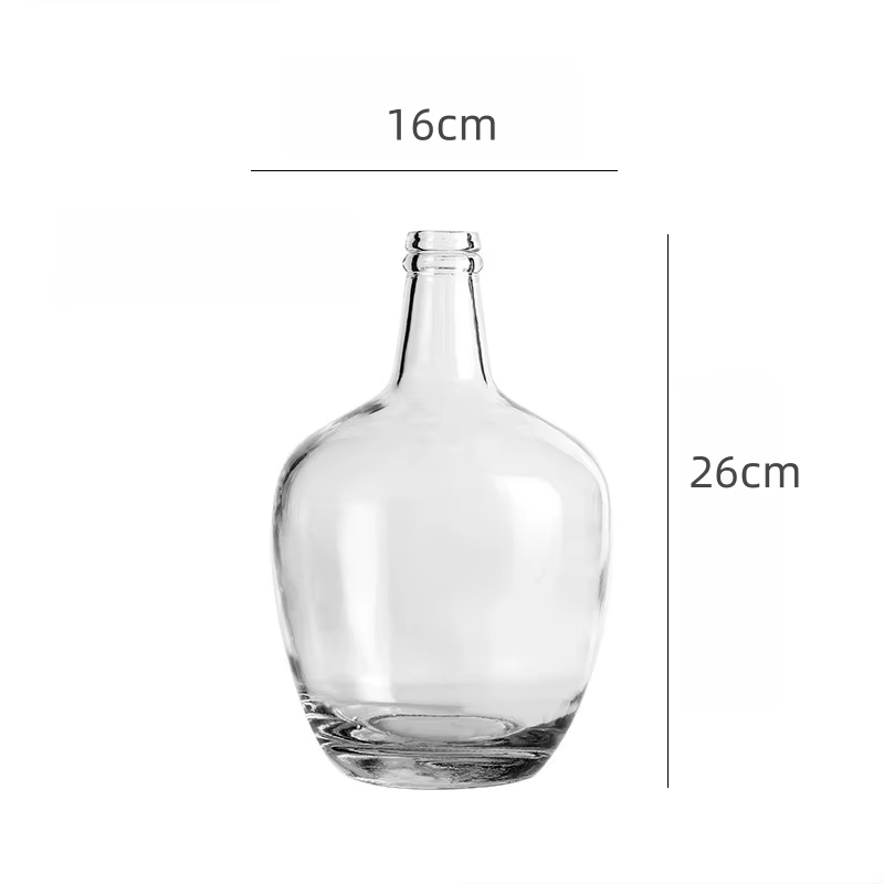 Big Belly Glass Vase Minimalist Transparent Glass Vase Home Decoration Floor Hydroponic Plant Glass Ornaments