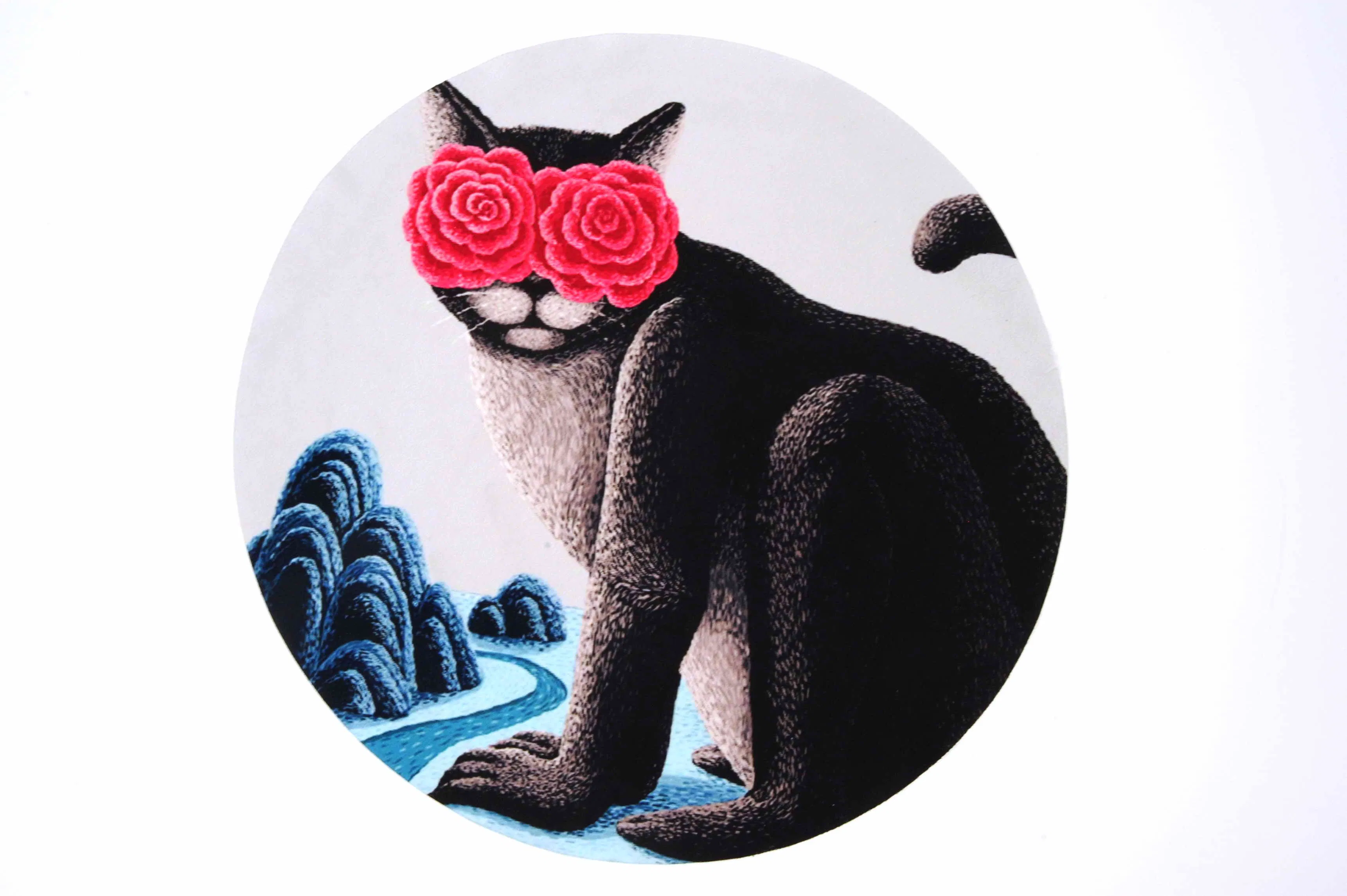 Cheap Microfiber Sunglasses Cleaning Cloth