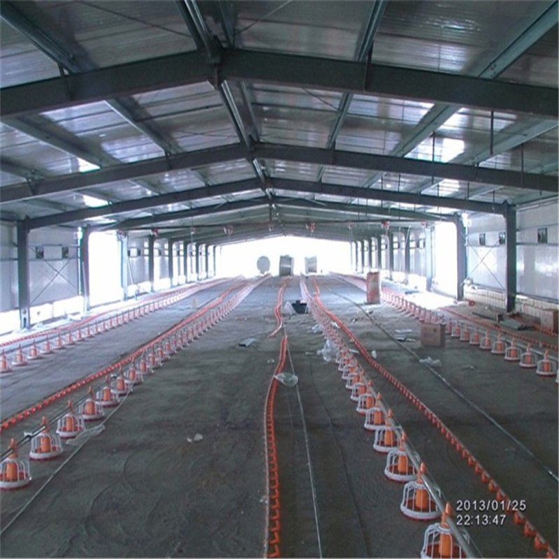 modern Layout Self Assemble Building Material Steel Structure Layer Egg Chicken Cage Broiler Poultry Farm House