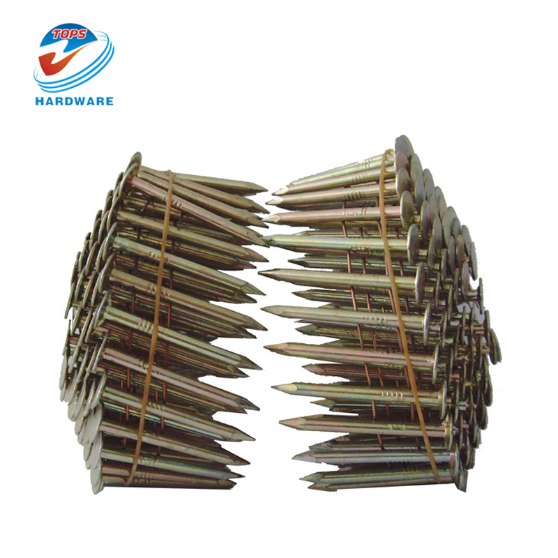 Factory Supply Galvanized 1-1/4'' 0.120'' Smooth Shank Coil Roofing Nails for Construction