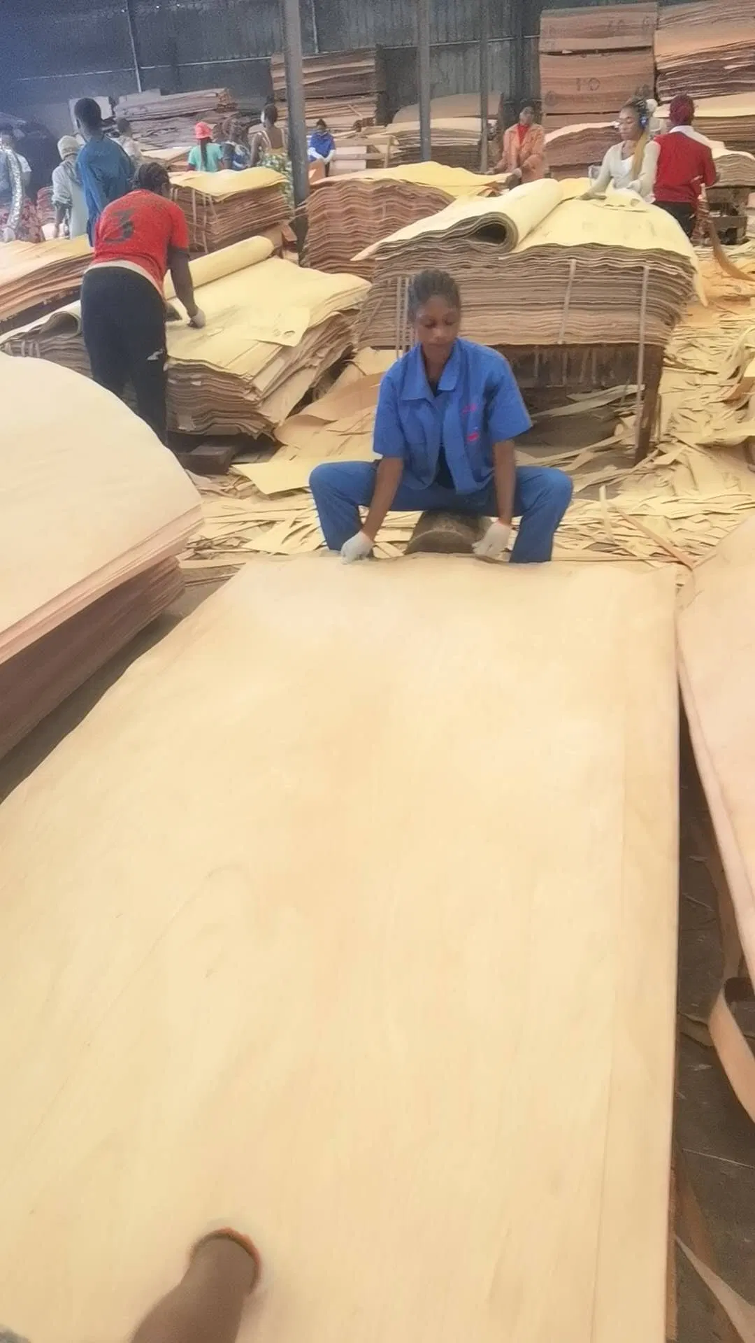 Фанера Иломбия 12 мм 1220x2440 мм