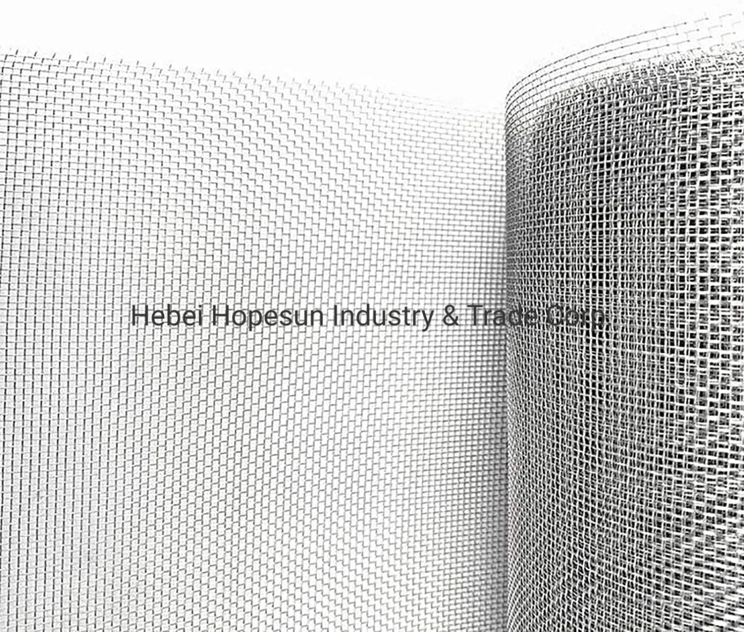 Mosquito Insect Protection Netting Window Screen Roll Galvanized Bug Proof Screen Window