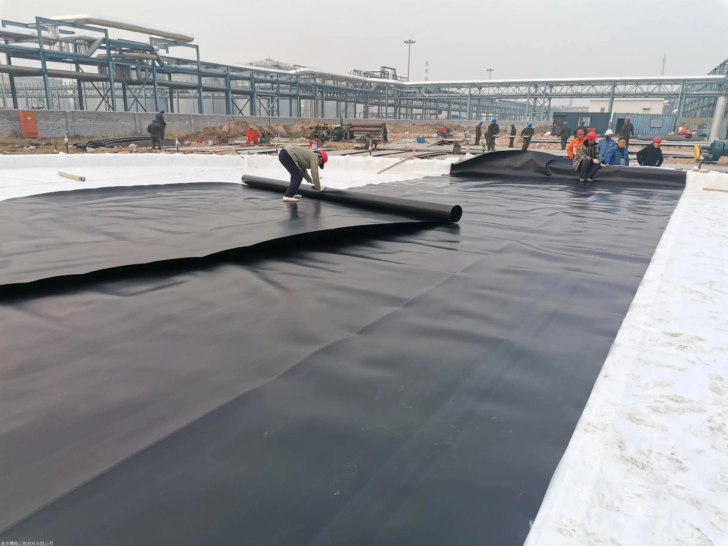 Factory Low Price 0.5mm 1.0mm 1.5mm HDPE Geomembrane Pond Liners