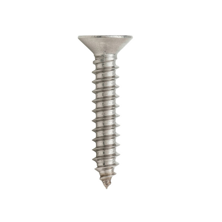 304/316 Stainless Steel Csk Type-a Type-Ab Screw for Sheet Metal Plastic Fiberglass