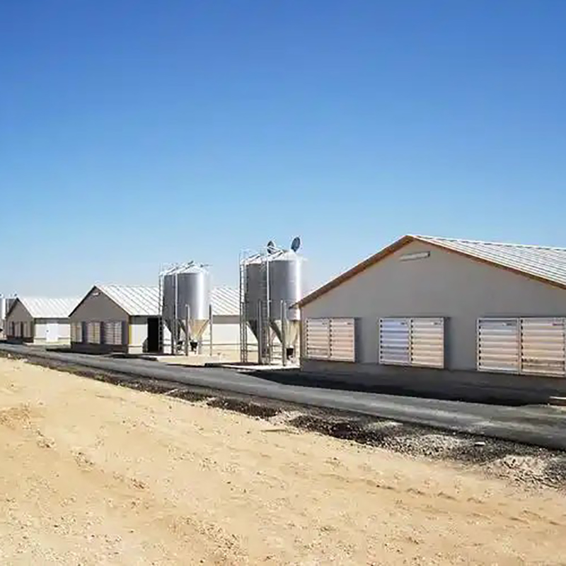 Low Cost Quick Build Corrosion Resistant Steel Structure Poultry Raising Chicken House