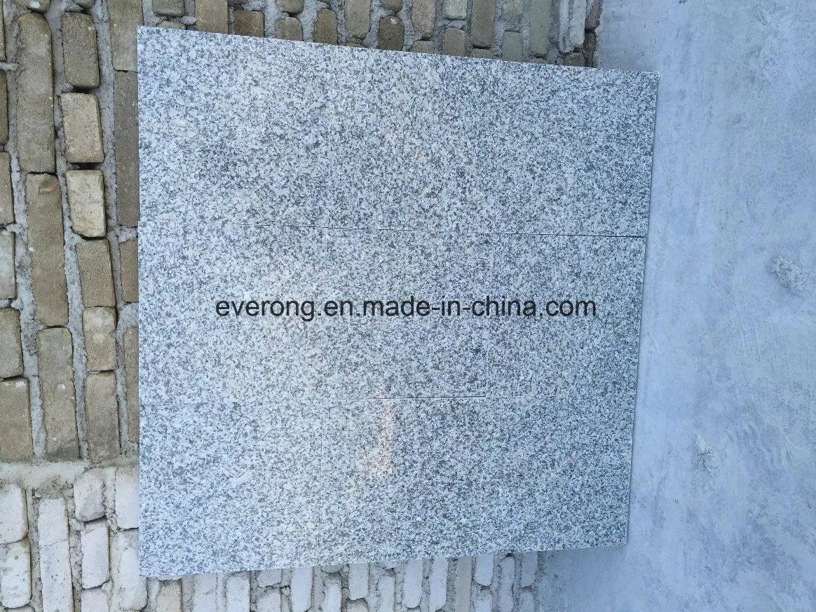 Chinese Cheap New Grey Granite China Rosa Porrino Tile for Paving Stone
