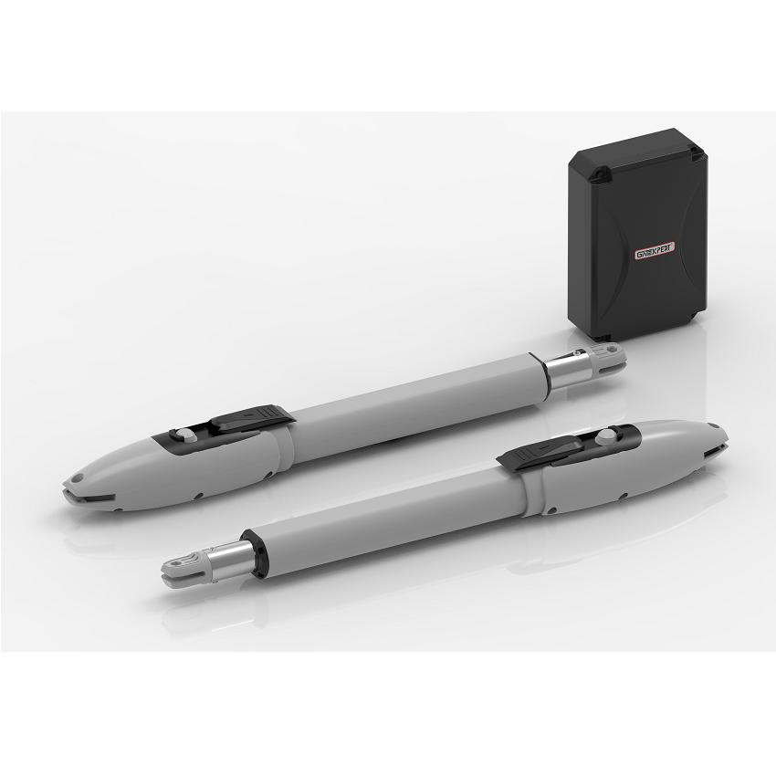 Automatic Systems for Swing Gate