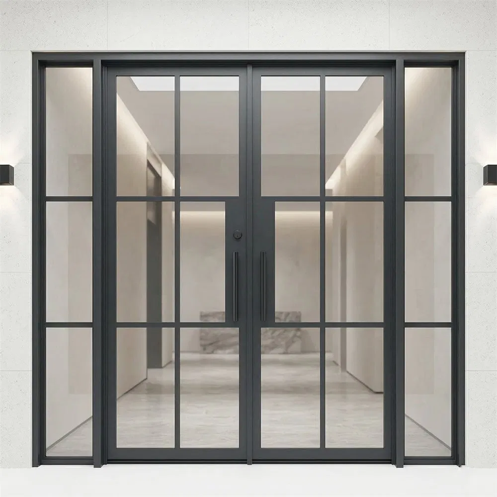Slim Low Profile Interior French Style Steel Glass Doors with Suficient Nature Light