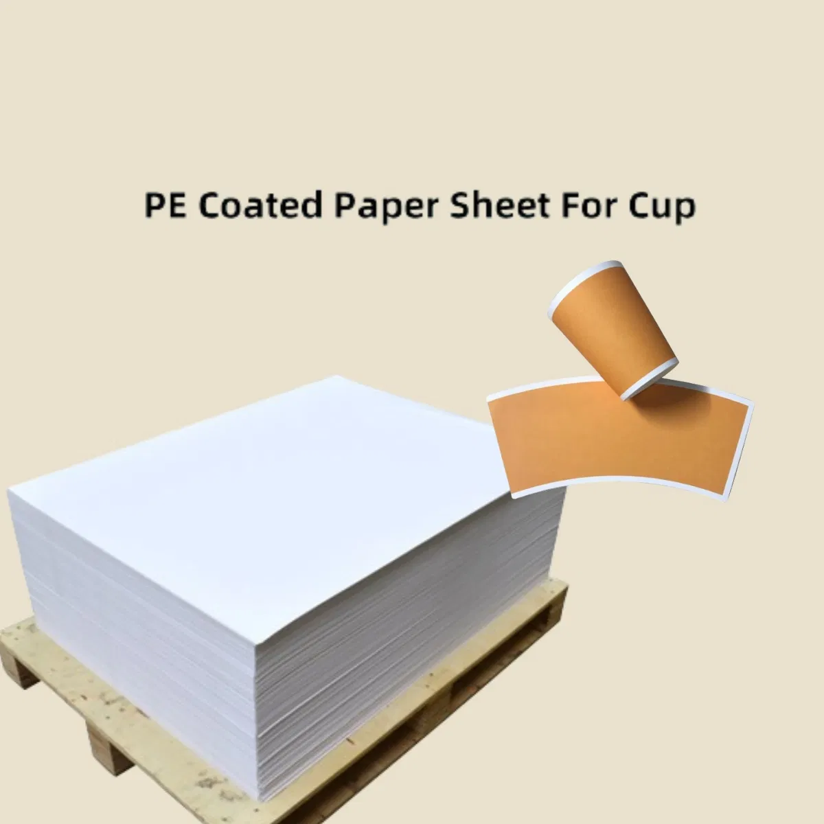 Sheets Cup Paper Raw Materials Disposable Paper Cup Blank White