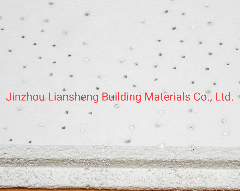 High-Performance Acoustic Ceiling Panels for Enhanced Sound Control