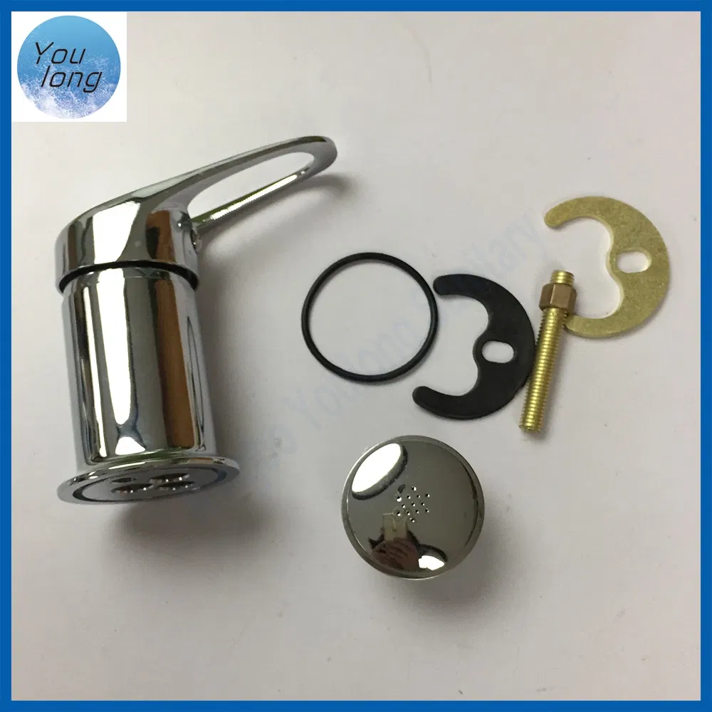 Customized Design Zinc Bidet Mixer Faucet Without Transfer for Argentina Market
