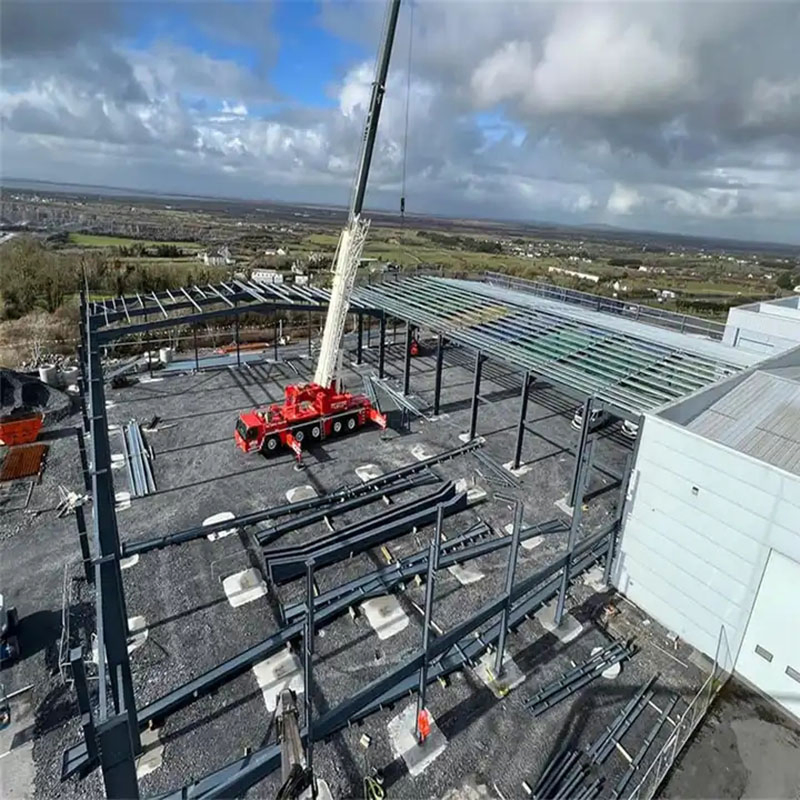 Luxury Container House All with Steel Structure Prefab House