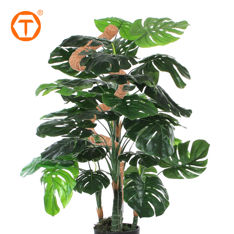 3 Pack Indoor Climb Plant Stand Coconut Stake 127cm Tall Plant Stick Growing Support Moss Poles for Monstera Pot