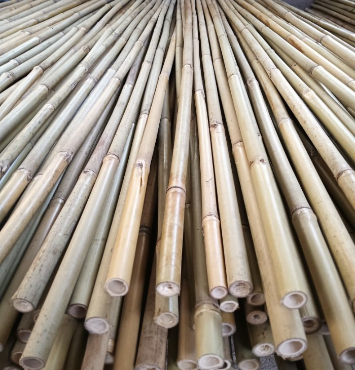 Factory Tonkin Bamboo Cane Garden Stake Moso Natural Artificial Raw Bamboo Poles