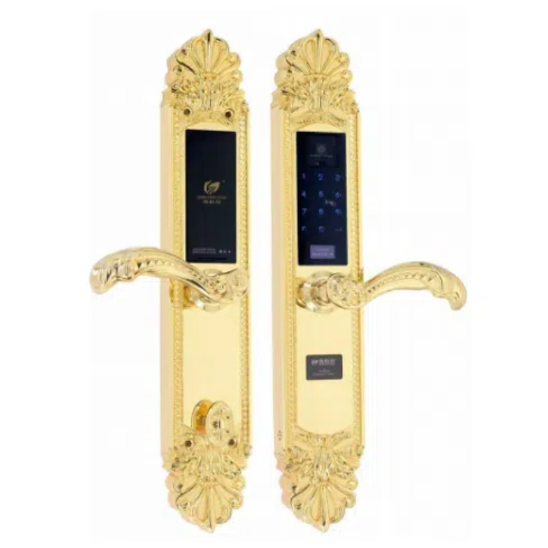 Luxury Fingerprint Electronic Combination Smart Door Lock