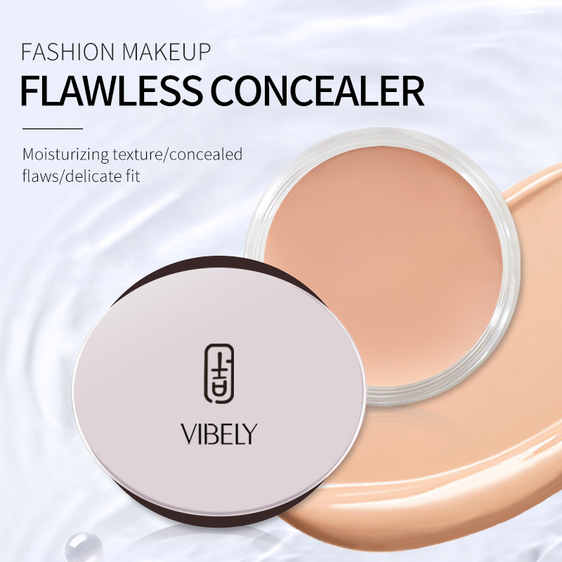 Face Makeup Foundation Waterproof Moisturizing Matte Lasting Full Coverage Contour Concealer