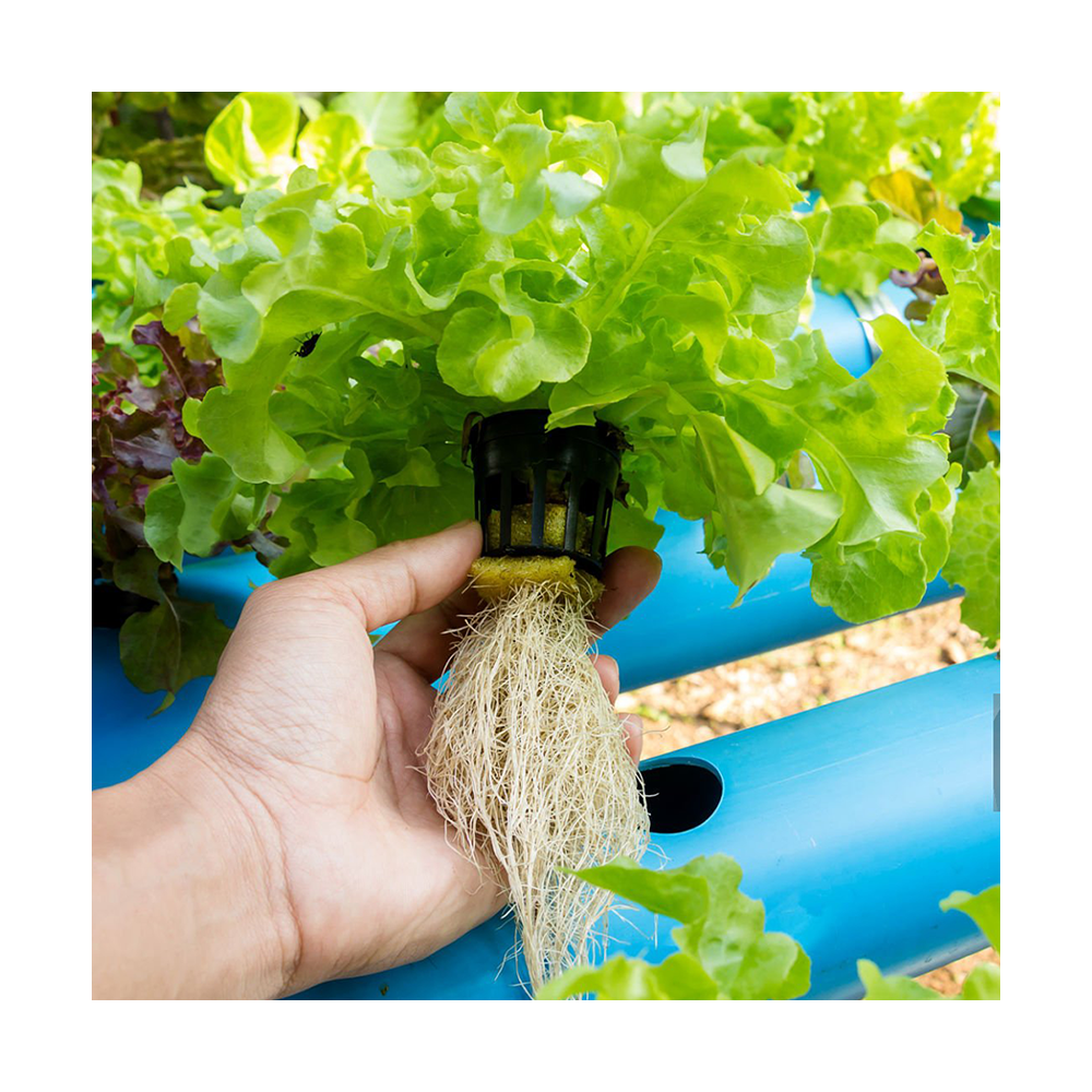 Горшок сетчатый для гидропоники черный пластик 2.5-10 см