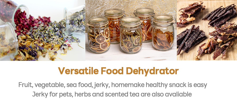 Home Use Electric Dryer 10tray Vegetable Fruit Dehydrate Jerky Food Dehydrator