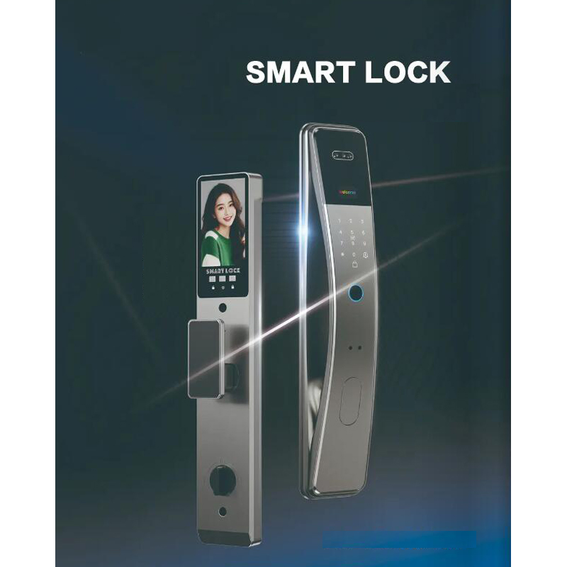 Economy 3D Face Unlock Alumnium Material Smart Lock