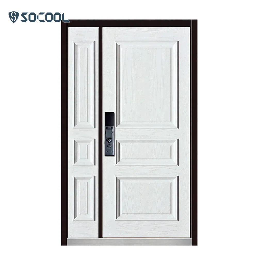 Modern Design Israel Steel Door