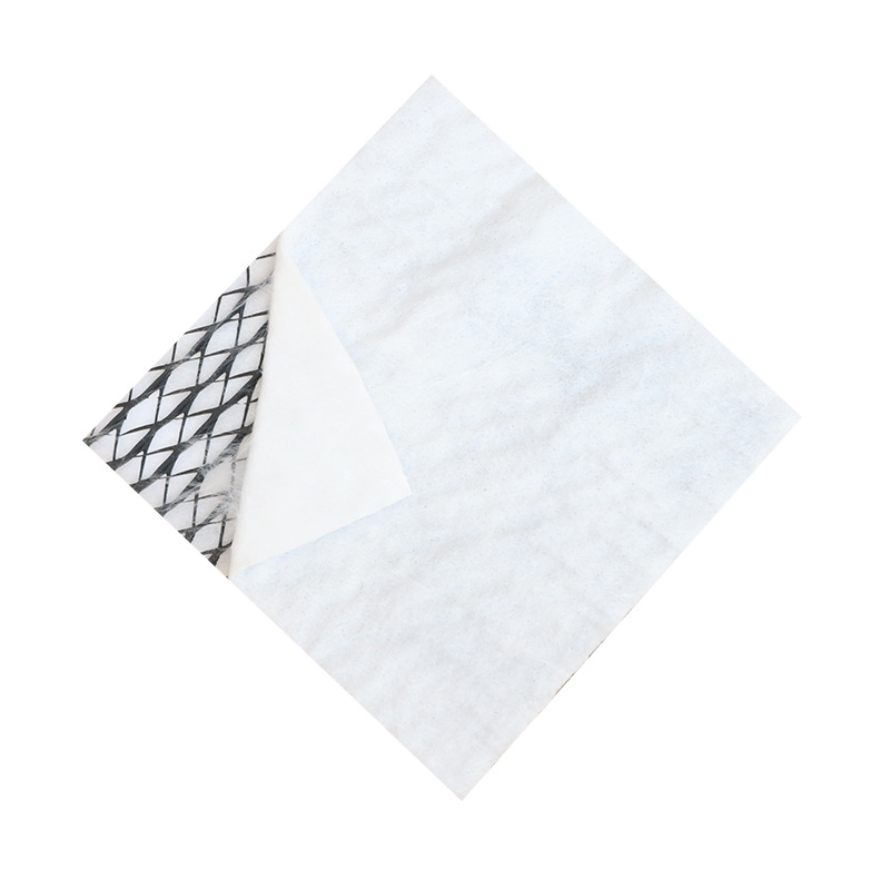 China Manufacturer Drainage Board 3D Geocomposite Geonet Drainage Net for Landfill Railway Construction